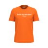 Schup Holland Schup